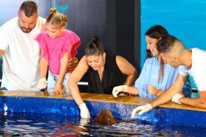 No âmbito dos Remarkable Venue Awards, a Tiqets atribuiu o prémio de «Best Family Experience 2025» ao Zoomarine Algarve.