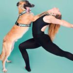 Com o objetivo de sensibilizar para a importância da adoção responsável, nasce o projeto que une a dança e a fotografia em prol da Animal Rescue Algarve.