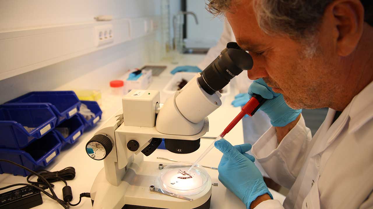 À medida que se afirma na investigação marinha aplicada à saúde humana, a Sea4Us reforça a intenção de transformar Sagres num hub científico de biotecnologia.