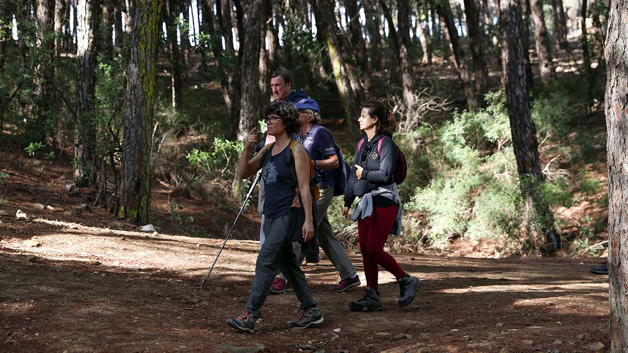 Três dias a abrir caminhos nas marcas do fogo: foi este o mote da edição deste ano do Barão de São João – Walk & Art Fest.