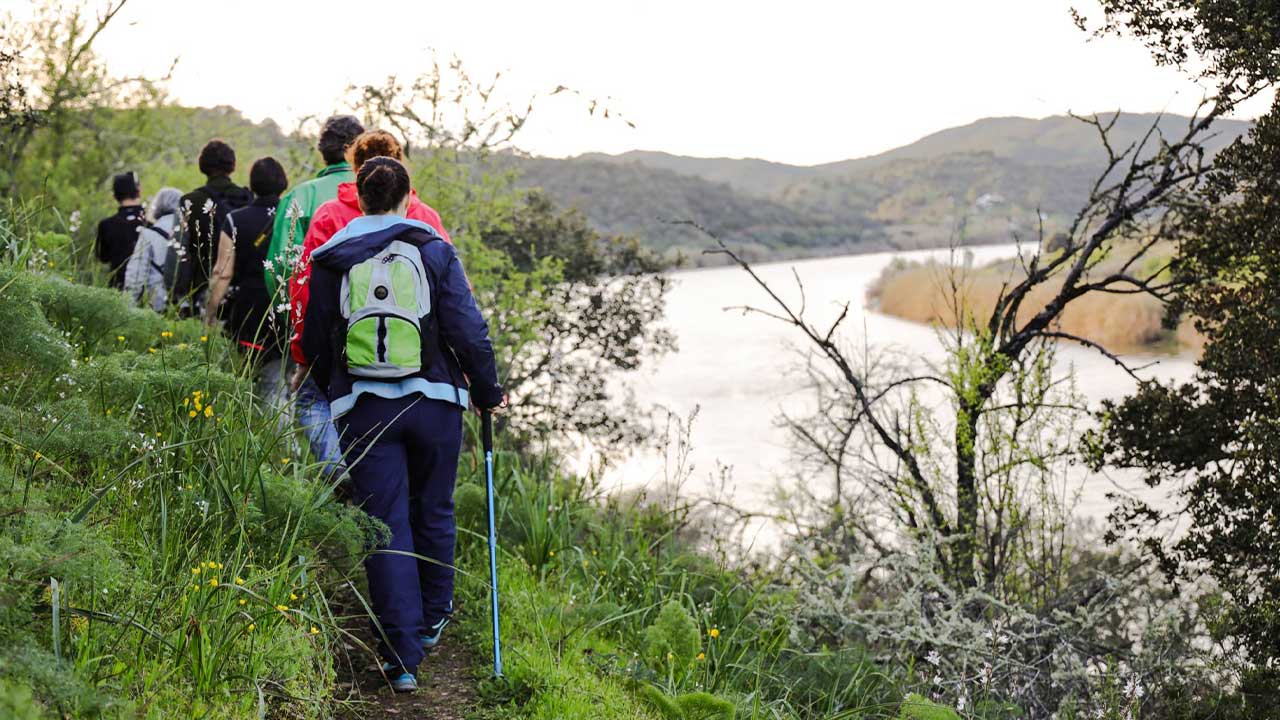 Os proveitos do turismo no Algarve totalizaram 1,71 mil milhões de euros em dez meses, com forte procura interna e liderança nacional em dormidas.