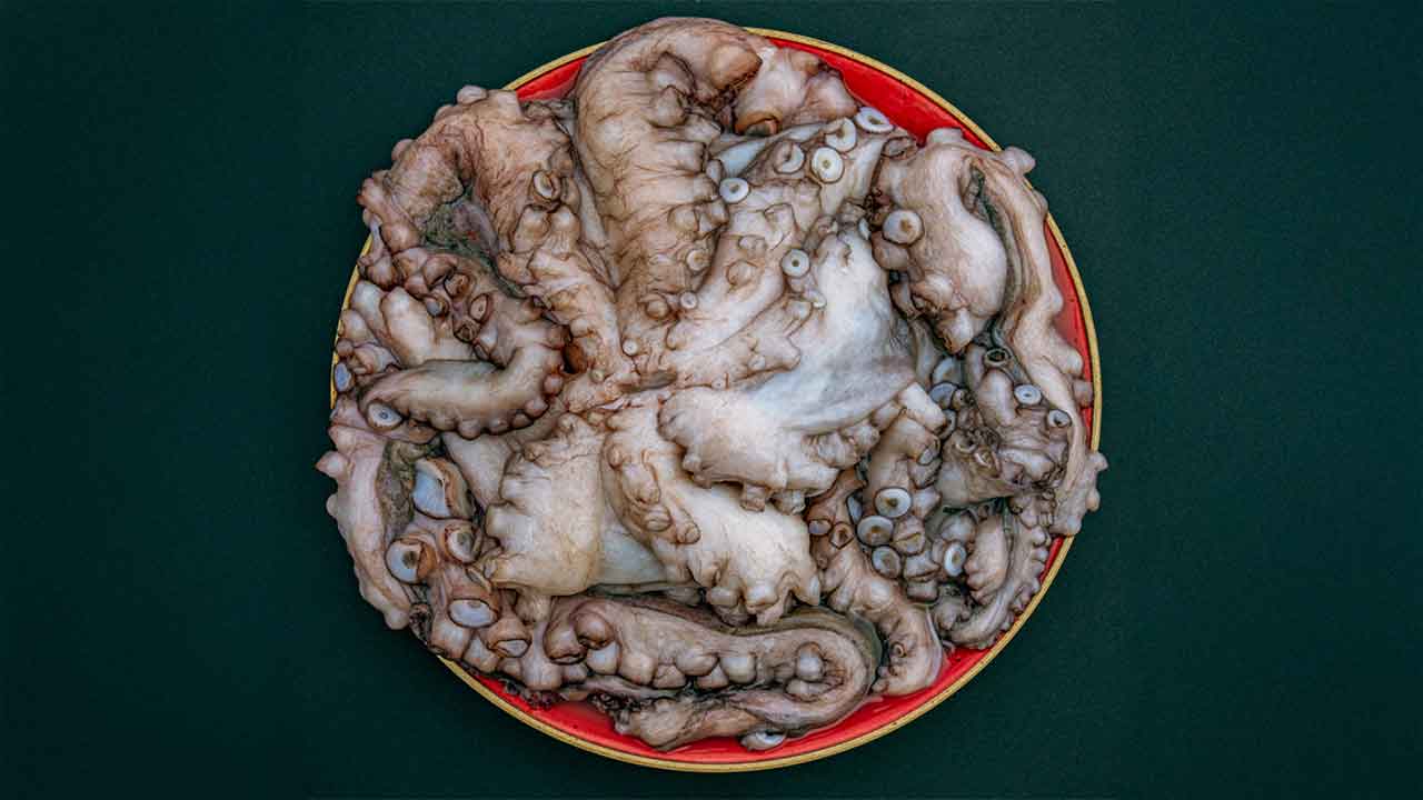 Livro percorre os 16 concelhos do Algarve com produtos identitários, receitas de chefs e investigação que reforçam a Dieta Mediterrânica no território.