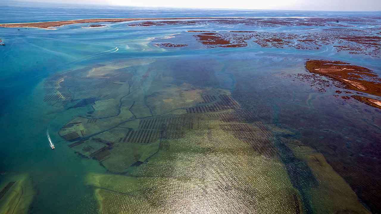 O Observatório Marinho do Algarve (OMA) nasce para alinhar o tecido empresarial com o potencial do mar através da ciência que se faz na região.