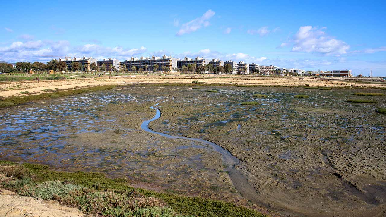 Parque Ribeirinho Olhão Poente e renaturalização das Tapadas criam novo espaço de fruição junto à Ria Formosa, com percursos pedonais e palco natural para eventos culturais.