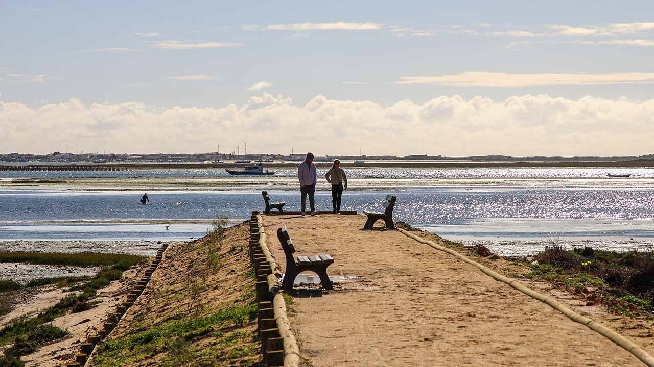 Parque Ribeirinho Olhão Poente e renaturalização das Tapadas criam novo espaço de fruição junto à Ria Formosa, com percursos pedonais e palco natural para eventos culturais.