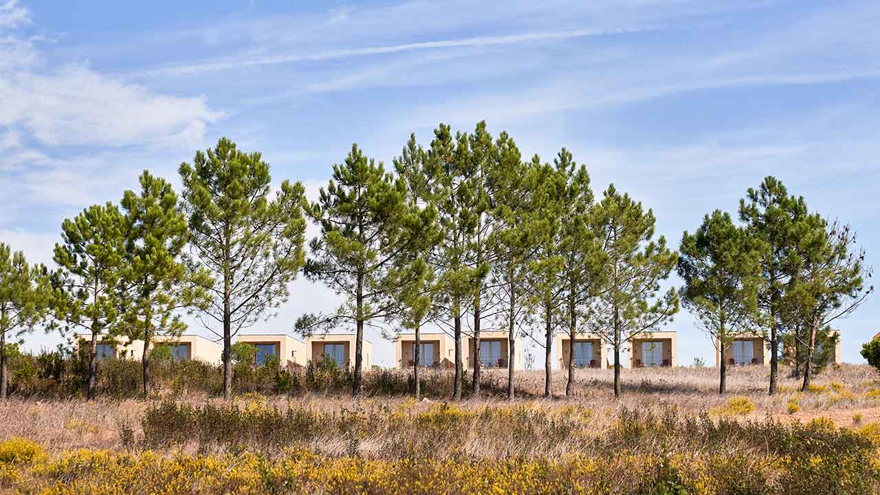 Praia do Canal Nature Retreat, hotel de cinco estrelas em Aljezur, integrado no Parque Natural da Costa Vicentina, prepara experiências de Natal e Ano Novo com gastronomia e bem-estar.