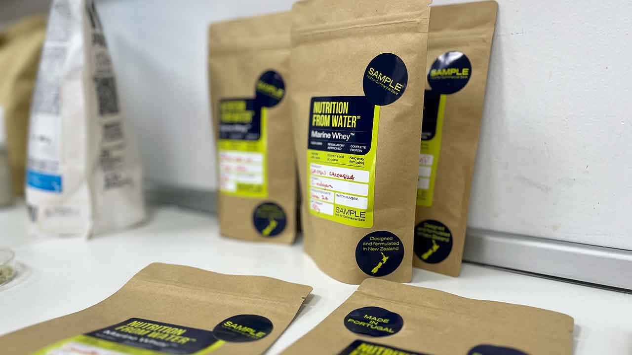Fundada na Nova Zelândia, a NXW – Nutrition from Water muda-se para o Algarve para produzir proteína de microalgas e transformar a região num polo europeu da nutrição do futuro.