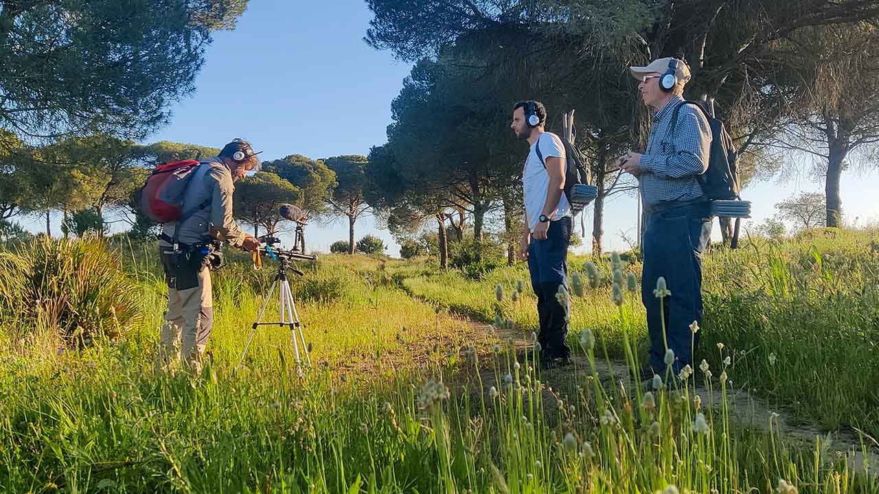 O Festival de Caminhadas regressa a Santa Bárbara de Nexe com percursos, património, natureza e atividades entre 29 de janeiro e 1 de fevereiro de 2026.