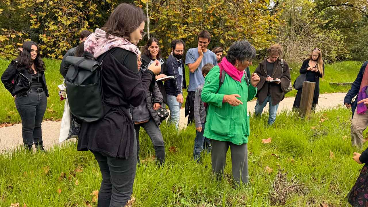 O Festival de Caminhadas regressa a Santa Bárbara de Nexe com percursos, património, natureza e atividades entre 29 de janeiro e 1 de fevereiro de 2026.