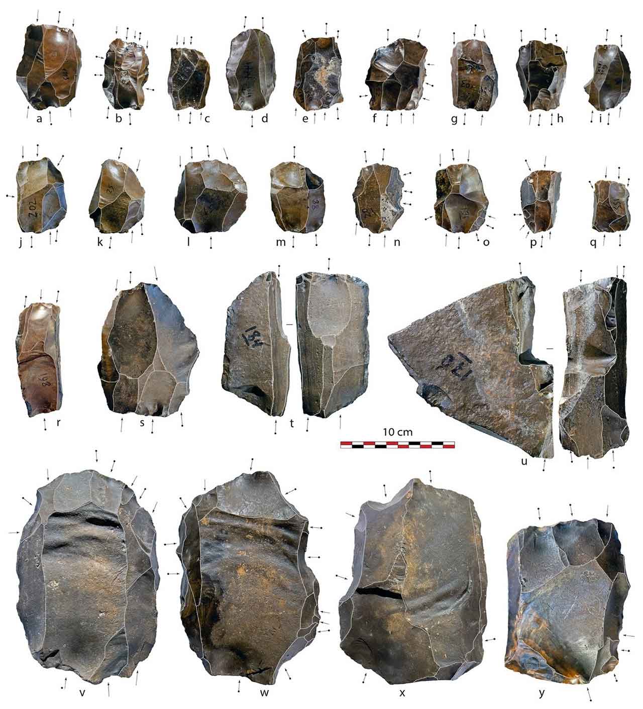 Investigadores da UAlg revelam que o Homo sapiens criou ferramentas miniaturizadas no sul de Omã há 100 mil anos, inovação que permitiu sobreviver ao deserto árido.