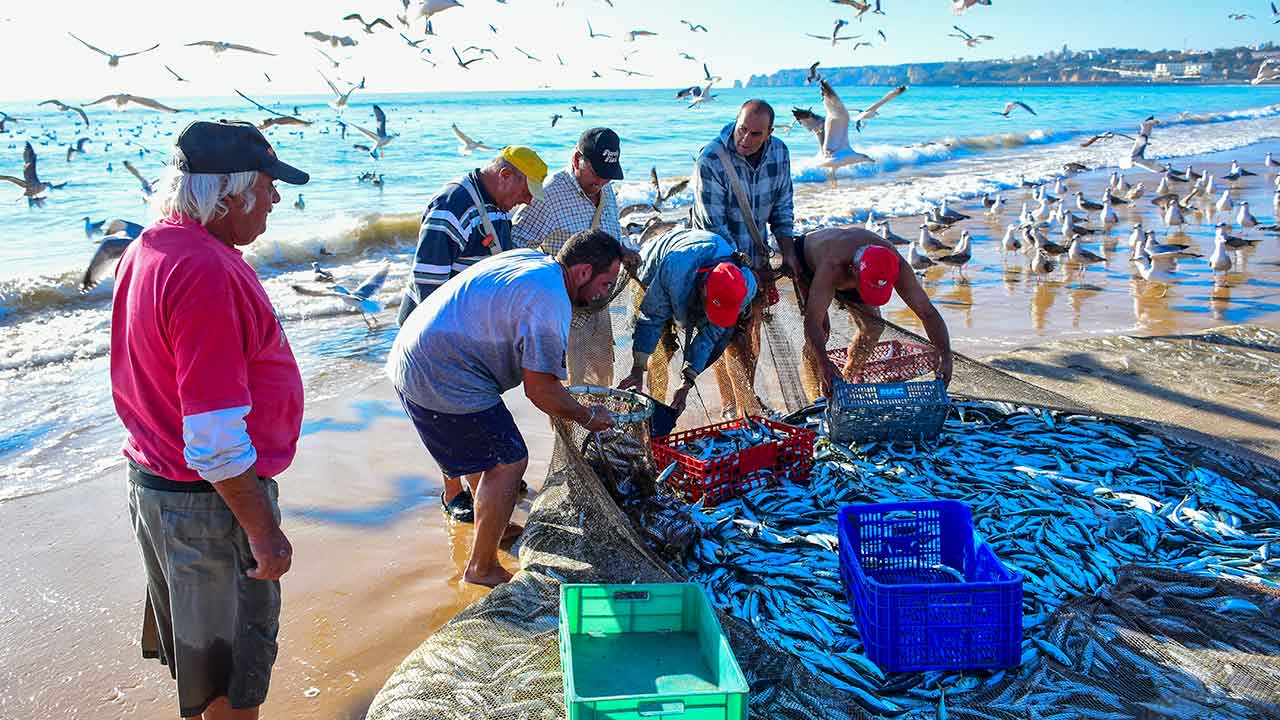 José da Glória Santos, conhecido como Zé Bala, figura central da arte xávega na Meia Praia, em Lagos, faleceu aos 74 anos, este sábado, 13 de dezembro.