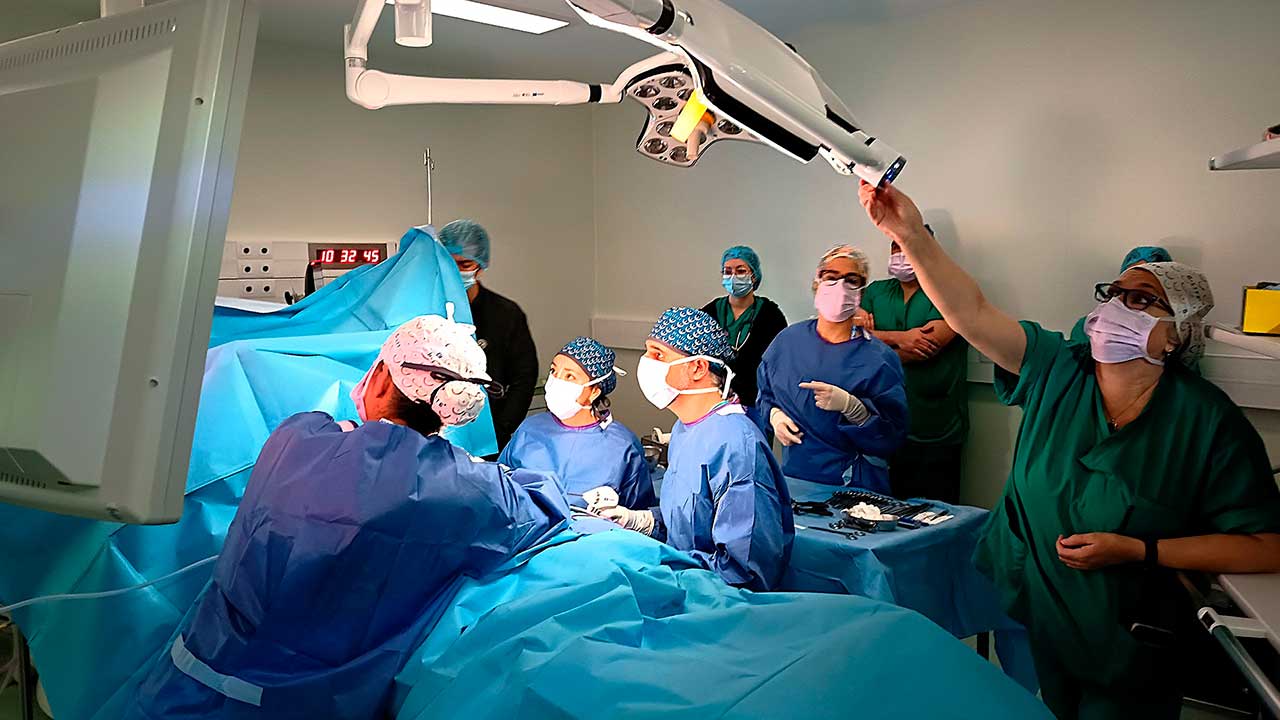 A ULS Algarve realizou a primeira cirurgia endoscópica da mama, uma técnica menos invasiva que reduz dor, acelera a recuperação e melhora os resultados estéticos.