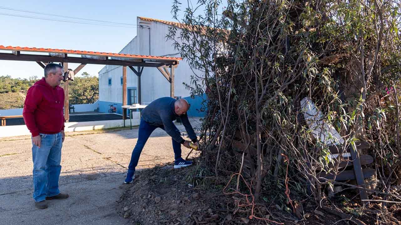 Fogueira do Madeiro de Natal acesa na aldeia da Cortelha, no concelho de Loulé