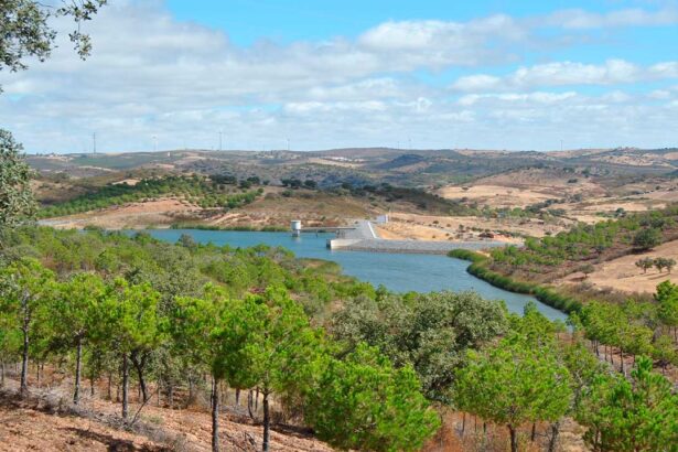 Governo aprovou a transferência da gestão de quatro aproveitamentos hidroagrícolas no Sotavento Algarvio para a Associação de Regantes.