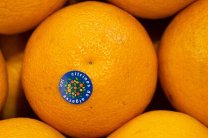 Os Citrinos do Algarve IGP vão estar em destaque na Fruit Logistica, em Berlim, para reforçar a presença no mercado alemão e junto de compradores internacionais.Os Citrinos do Algarve IGP vão estar em destaque na Fruit Logistica, em Berlim, para reforçar a presença no mercado alemão e junto de compradores internacionais.
