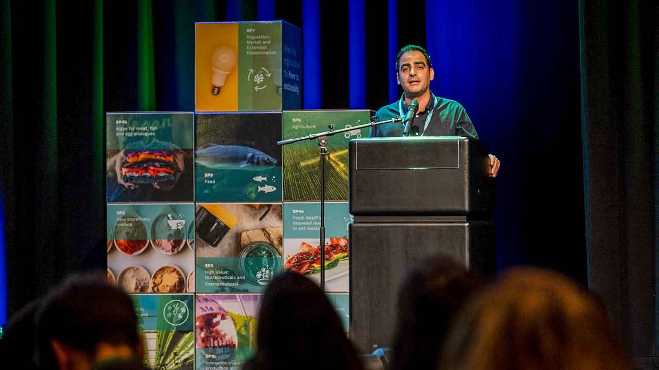 O GreenCoLab lidera o desenvolvimento de novos modelos de negócio sustentáveis a partir do mar e projeta o Algarve como referência internacional no estudo e aplicação industrial de algas.