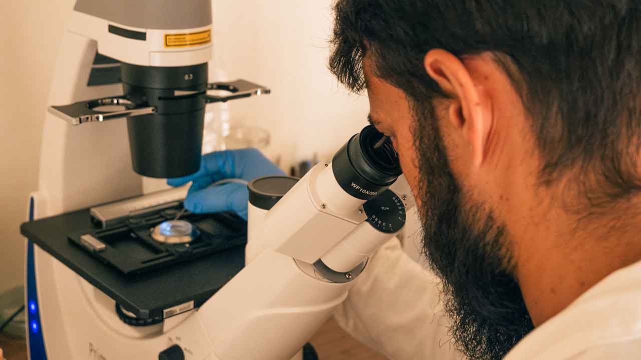 O GreenCoLab lidera o desenvolvimento de novos modelos de negócio sustentáveis a partir do mar e projeta o Algarve como referência internacional no estudo e aplicação industrial de algas.