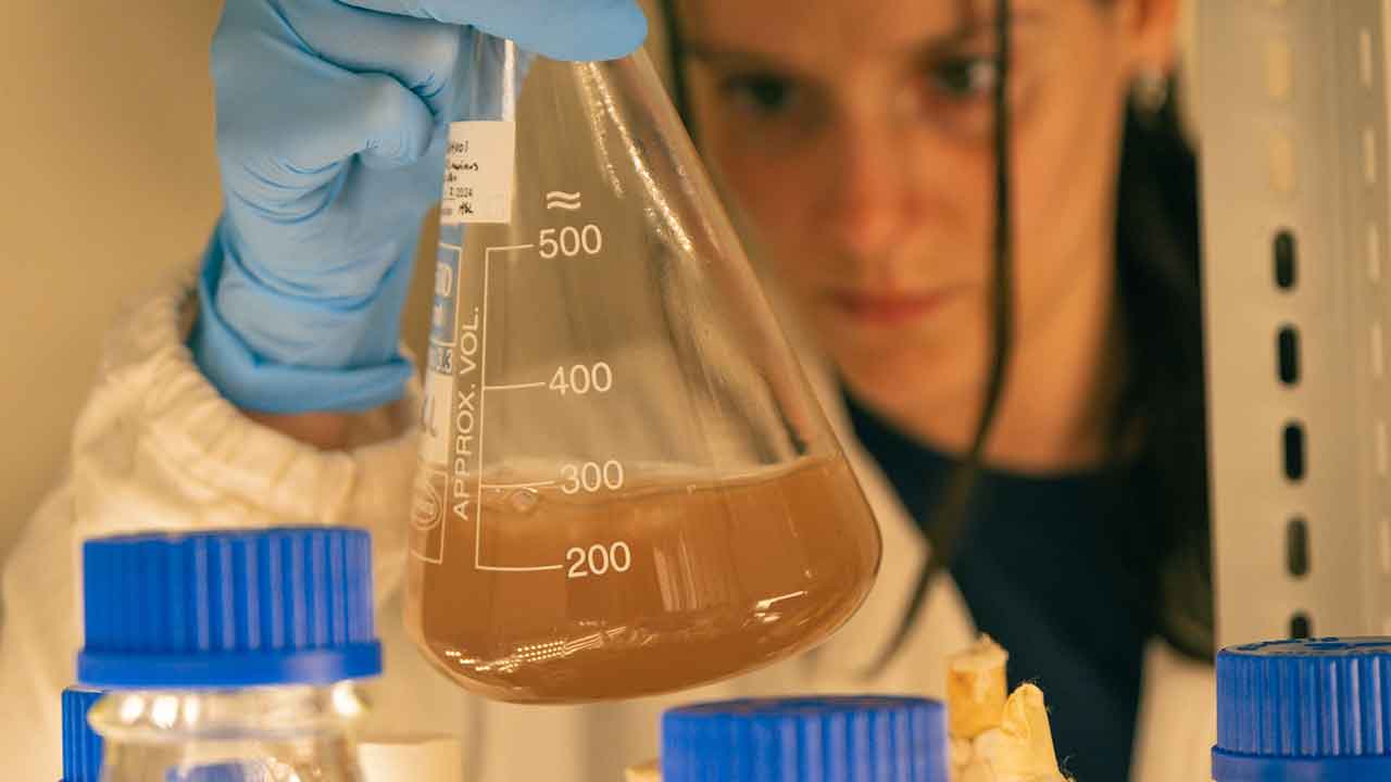 O GreenCoLab lidera o desenvolvimento de novos modelos de negócio sustentáveis a partir do mar e projeta o Algarve como referência internacional no estudo e aplicação industrial de algas.