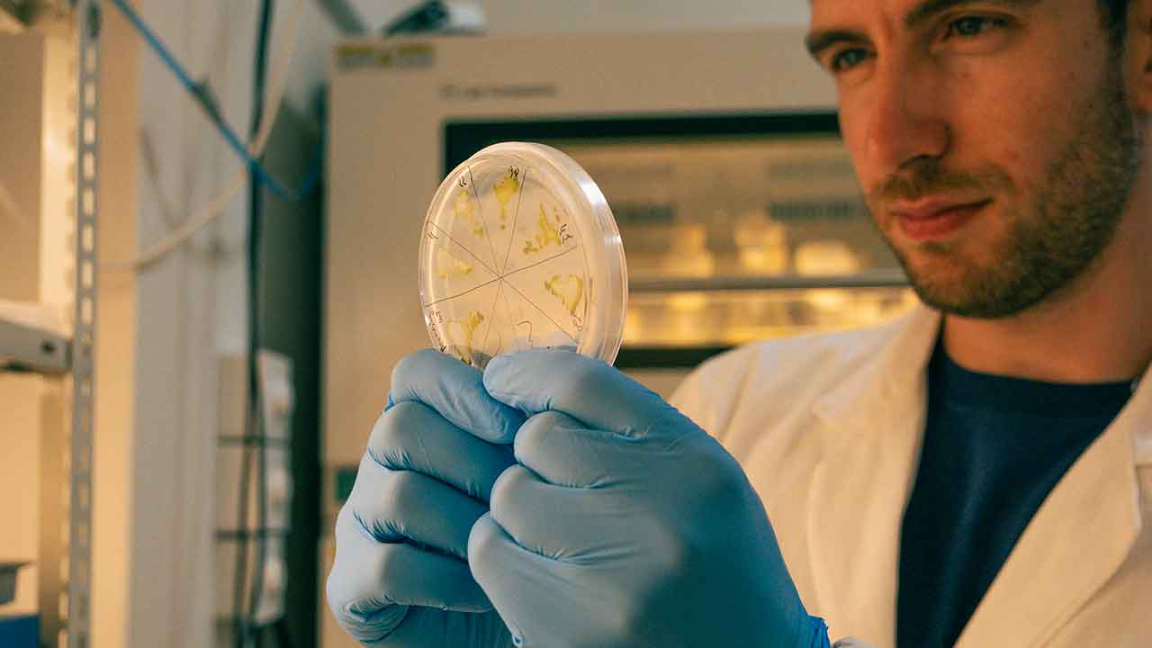 O GreenCoLab lidera o desenvolvimento de novos modelos de negócio sustentáveis a partir do mar e projeta o Algarve como referência internacional no estudo e aplicação industrial de algas.