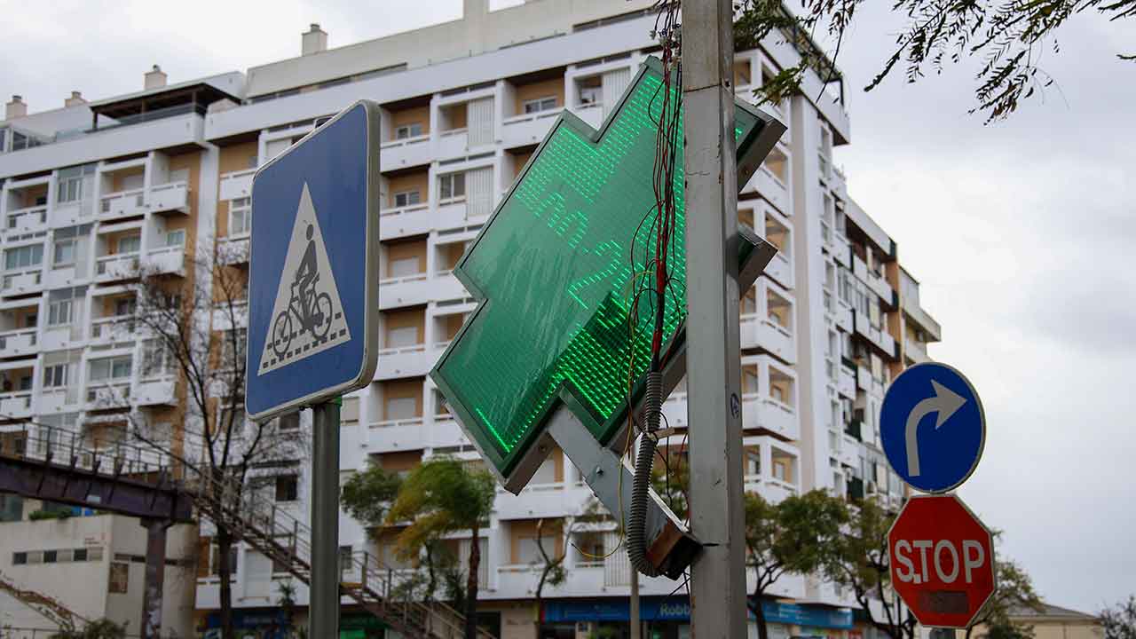 Vento forte no Algarve provocou esta madrugada quedas de árvores em vários concelhos, mobilizou 210 operacionais em 72 ocorrências, sem registo de situações graves, segundo a Proteção Civil.