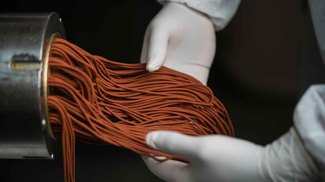Empresa de biotecnologia sediada em Olhão desenvolve dietas inovadoras para uma alimentação de precisão na aquacultura. A Sparos é líder de mercado na Europa.