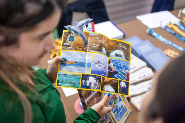 Workshop da APAL e Município em Sevilha para promover Albufeira.