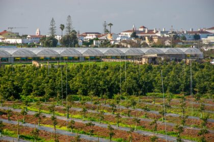 NERA lança, em março, a Rede de Cooperação para a Descarbonização Empresarial do Algarve, para apoiar as PME na eficiência energética e sustentabilidade.