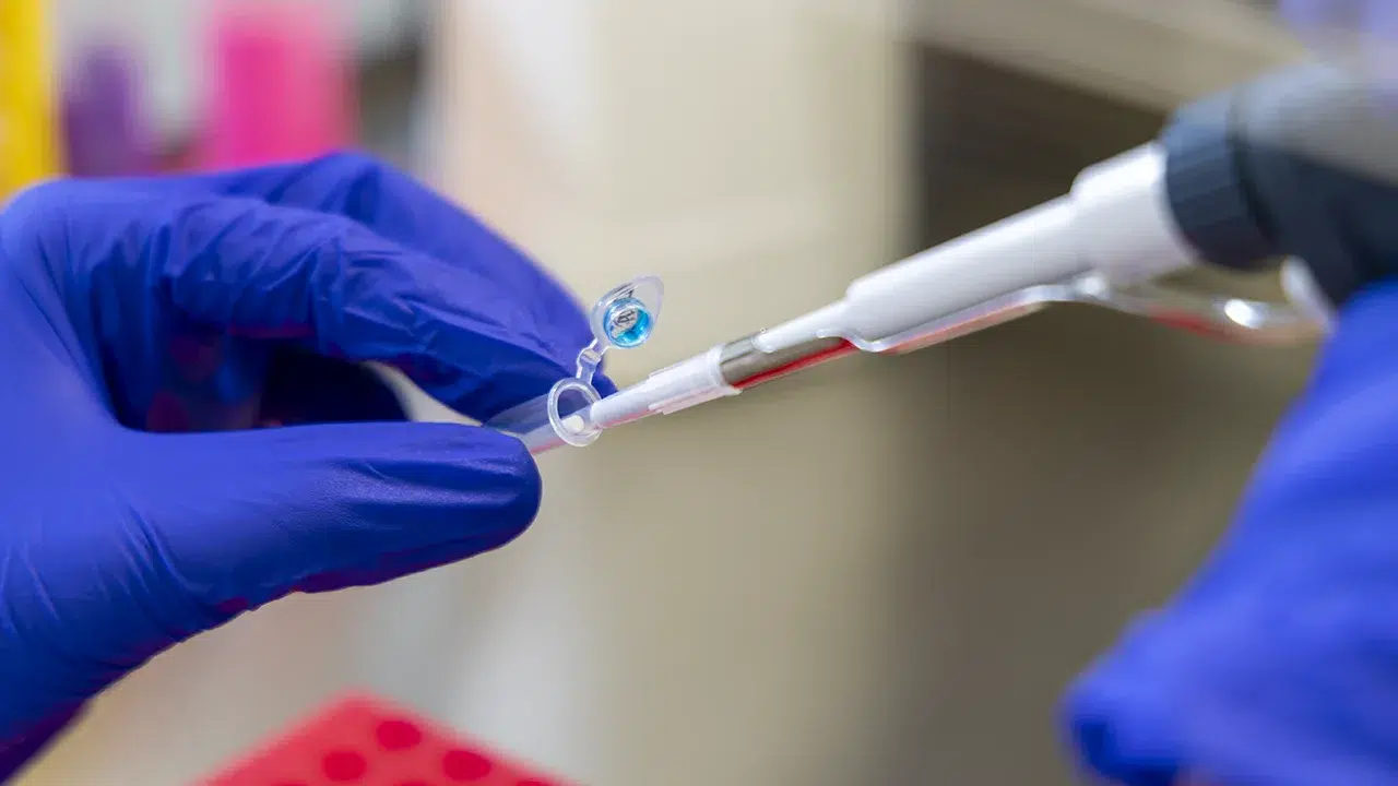 Análise laboratorial de ostras no S2AQUAcoLAB para deteção de norovírus.