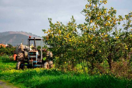 Tavira acolhe o Conselho da Confederação dos Agricultores, a 23 de fevereiro, com debate sobre Mercosul e Política Agrícola Comum.