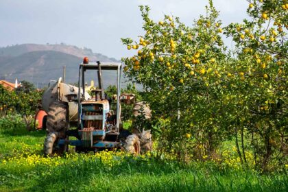 Furtos de combustível registados pela GNR mudam de alvo: menos casos em bombas de gasolina, mas mais em motas e máquinas agrícolas.