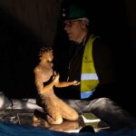 Exposição «Os Cinco Elementos» desce a 230 metros na mina de sal-gema de Loulé e propõe uma experiência sensorial única no subsolo.