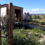 Atividade ambiental junta seniores no Parque Ribeirinho de Olhão e termina com ação de limpeza para reforçar ligação da comunidade à Ria Formosa.