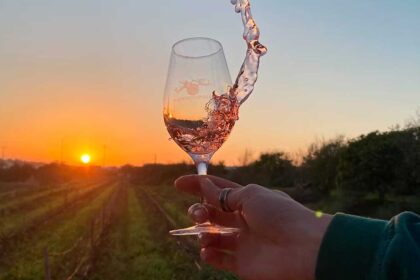 2.º Roads to Wine passa por cinco adegas no Algarve e abre venda de bilhetes para um percurso vínico com provas e visitas a produtores em Lagoa e Silves.