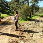 São Brás de Alportel avaliou no terreno os danos provocados pelas tempestades em várias estradas do concelho e visitou empresas instaladas no Parque Empresarial de Almargens.