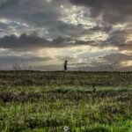 Ultra Trail do Algarve (ALUT) volta com 305 km a solo entre Alcoutim e Sagres entre 26 e 29 de novembro.