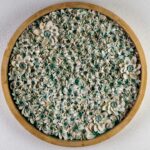 Dana Shell Art transforma conchas e elementos do mar em obras únicas, inspiradas na natureza e criadas no seu estúdio, em Ferragudo.