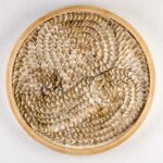 Dana Shell Art transforma conchas e elementos do mar em obras únicas, inspiradas na natureza e criadas no seu estúdio, em Ferragudo.