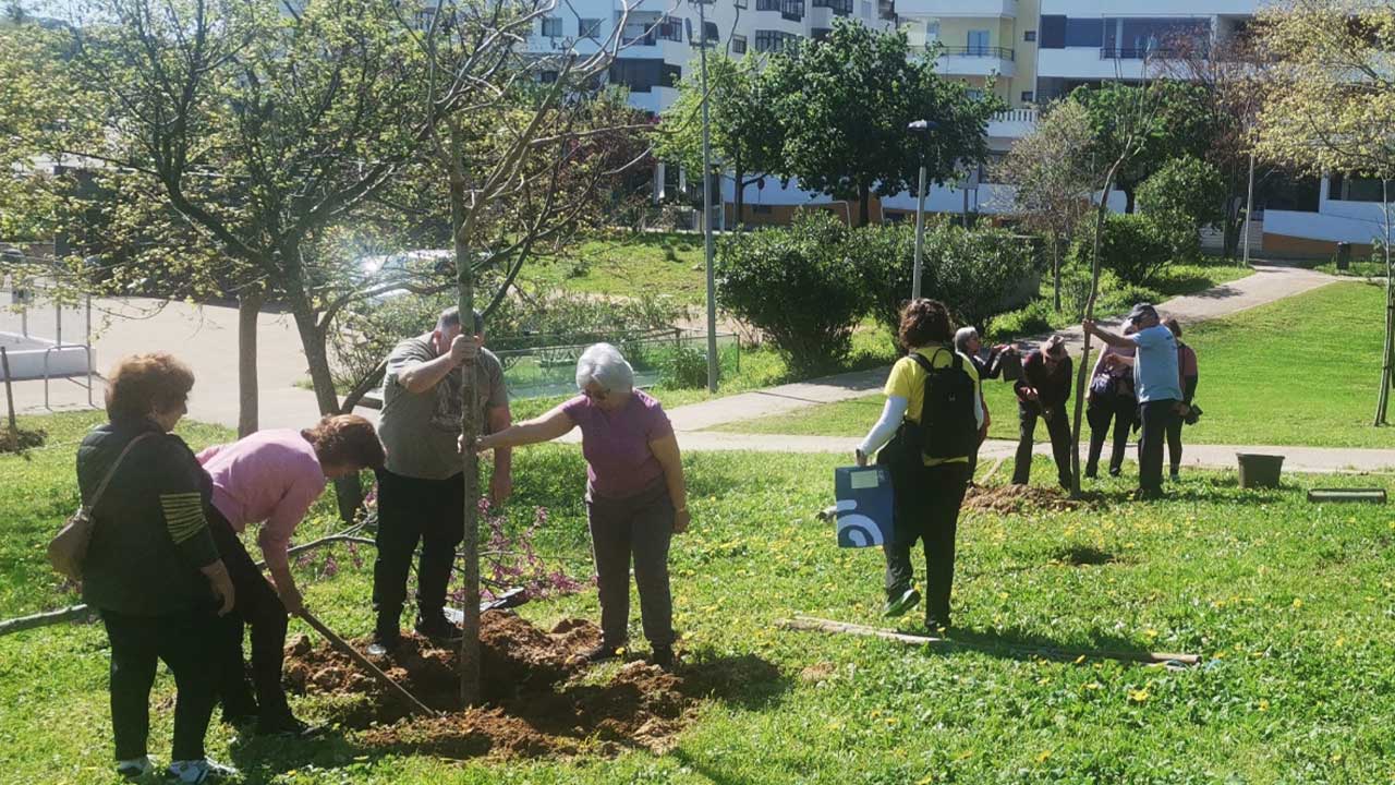 Lagos planta 157 árvores na Semana Verde e da Água, com reforço previsto de mais 143 exemplares nas próximas semanas.