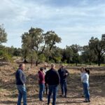 Projetos no espaço rural de Monchique ajudam a reduzir risco de incêndio, com reflorestação e gestão de combustível em várias zonas.