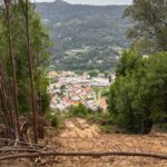 Projetos no espaço rural de Monchique ajudam a reduzir risco de incêndio, com reflorestação e gestão de combustível em várias zonas.
