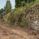 Projetos no espaço rural de Monchique ajudam a reduzir risco de incêndio, com reflorestação e gestão de combustível em várias zonas.