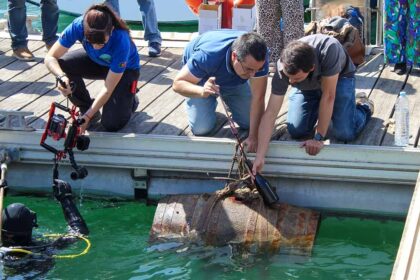 Garrafas e barrica de vinho submersas na Marina de Albufeira integram projeto pioneiro que testa envelhecimento no mar.