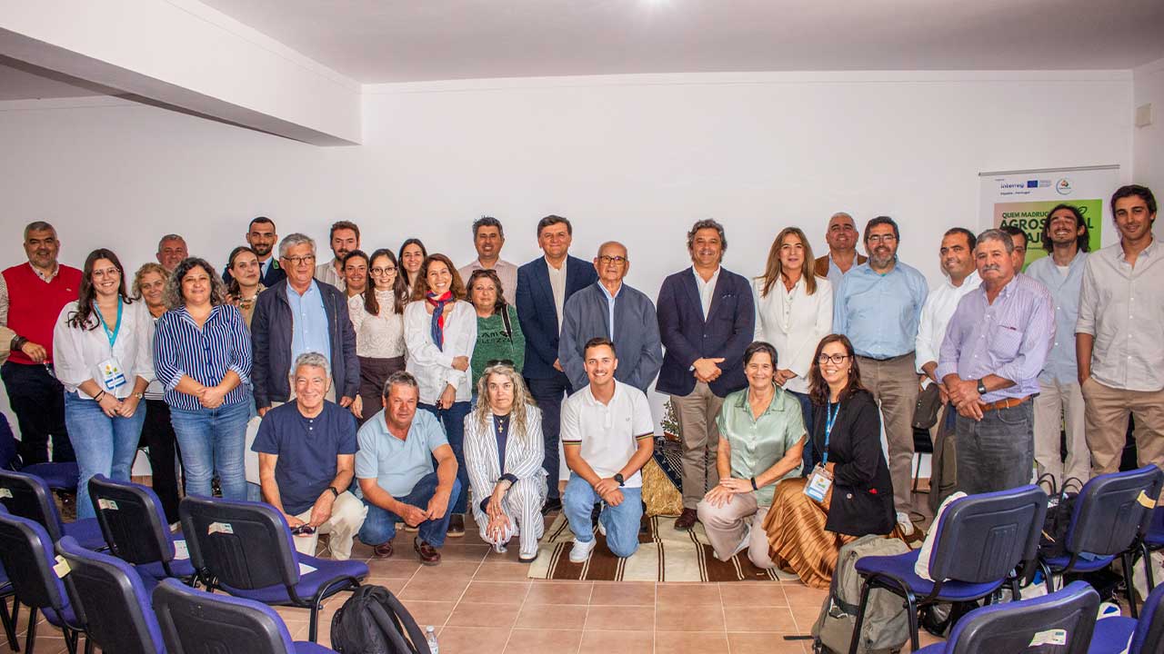 Feira do Borrego e da Pastorícia juntou centenas de pessoas em Farelos, com produtos locais, demonstrações, gastronomia e animação cultural.