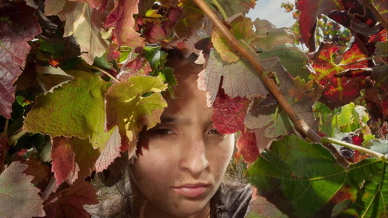 A longa-metragem de Marta Mateus estreia-se em Portugal depois de conquistar a crítica internacional.