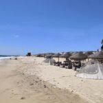 O arranque do Lés-a-Lés 2026 em Faro inclui uma travessia marítima inédita até à ilha da Culatra.