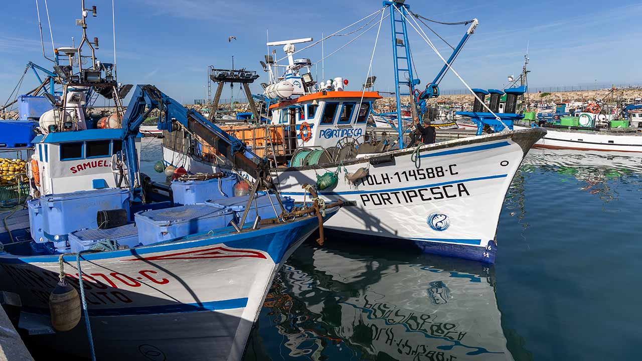 Pesca da sardinha no Algarve com «arranque suave» e bons preços em lota nos primeiros dias da campanha de 2026.