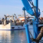 Pesca da sardinha no Algarve com «arranque suave» e bons preços em lota nos primeiros dias da campanha de 2026.