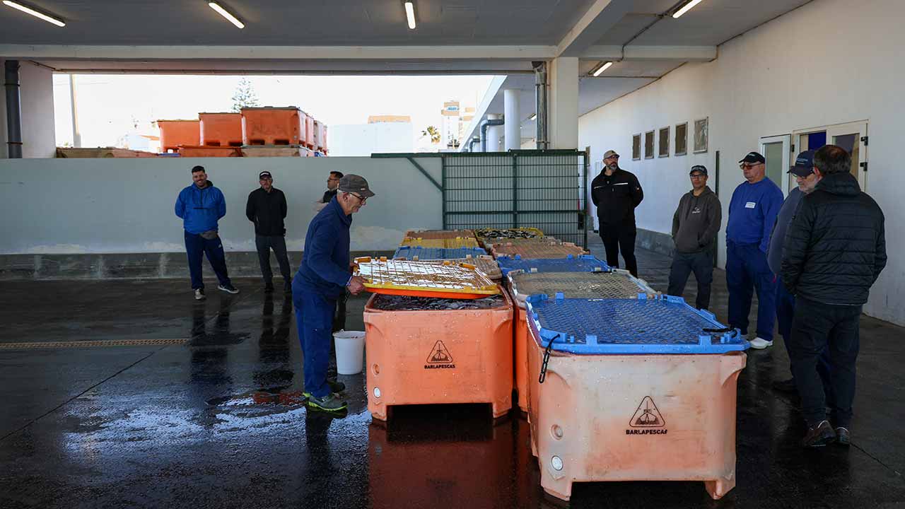 Pesca da sardinha no Algarve com «arranque suave» e bons preços em lota nos primeiros dias da campanha de 2026.