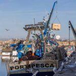 Pesca da sardinha no Algarve com «arranque suave» e bons preços em lota nos primeiros dias da campanha de 2026.