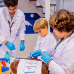 Crianças podem assumir funções ligadas ao resgate de tartarugas marinhas numa nova experiência do Zoomarine na KidZania Lisboa.